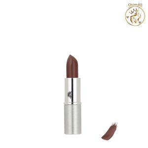 رژ لب جامد سیلکی شاین مای شماره302