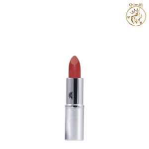 رژ لب جامد سیلکی شاین مای شماره401